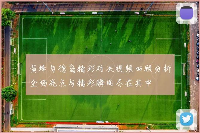 黄蜂与德岛精彩对决视频回顾分析全场亮点与精彩瞬间尽在其中