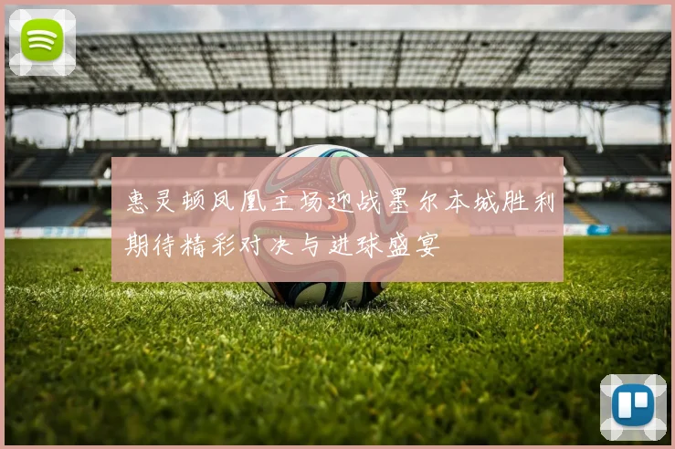 惠灵顿凤凰主场迎战墨尔本城胜利期待精彩对决与进球盛宴