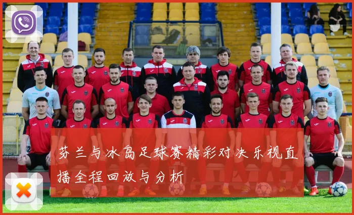 芬兰与冰岛足球赛精彩对决乐视直播全程回放与分析